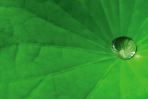 紫微14主星1月整體運