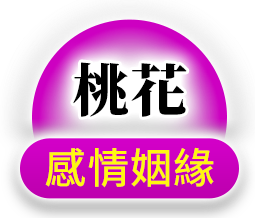 八字命盤圖示4