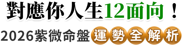 2026命盤運勢，紫微斗數，分析項目全覽